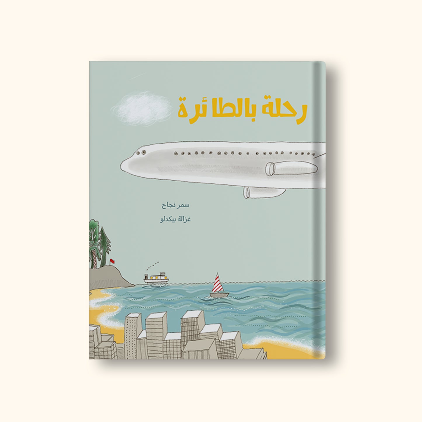 رحلة بالطائرة