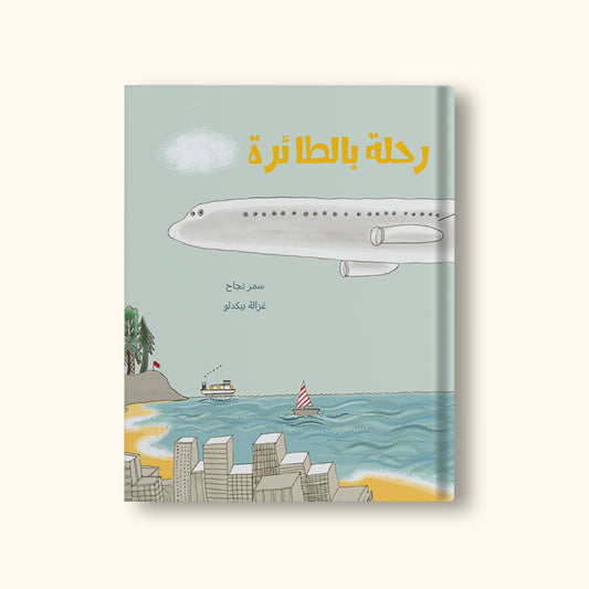 رحلة بالطائرة