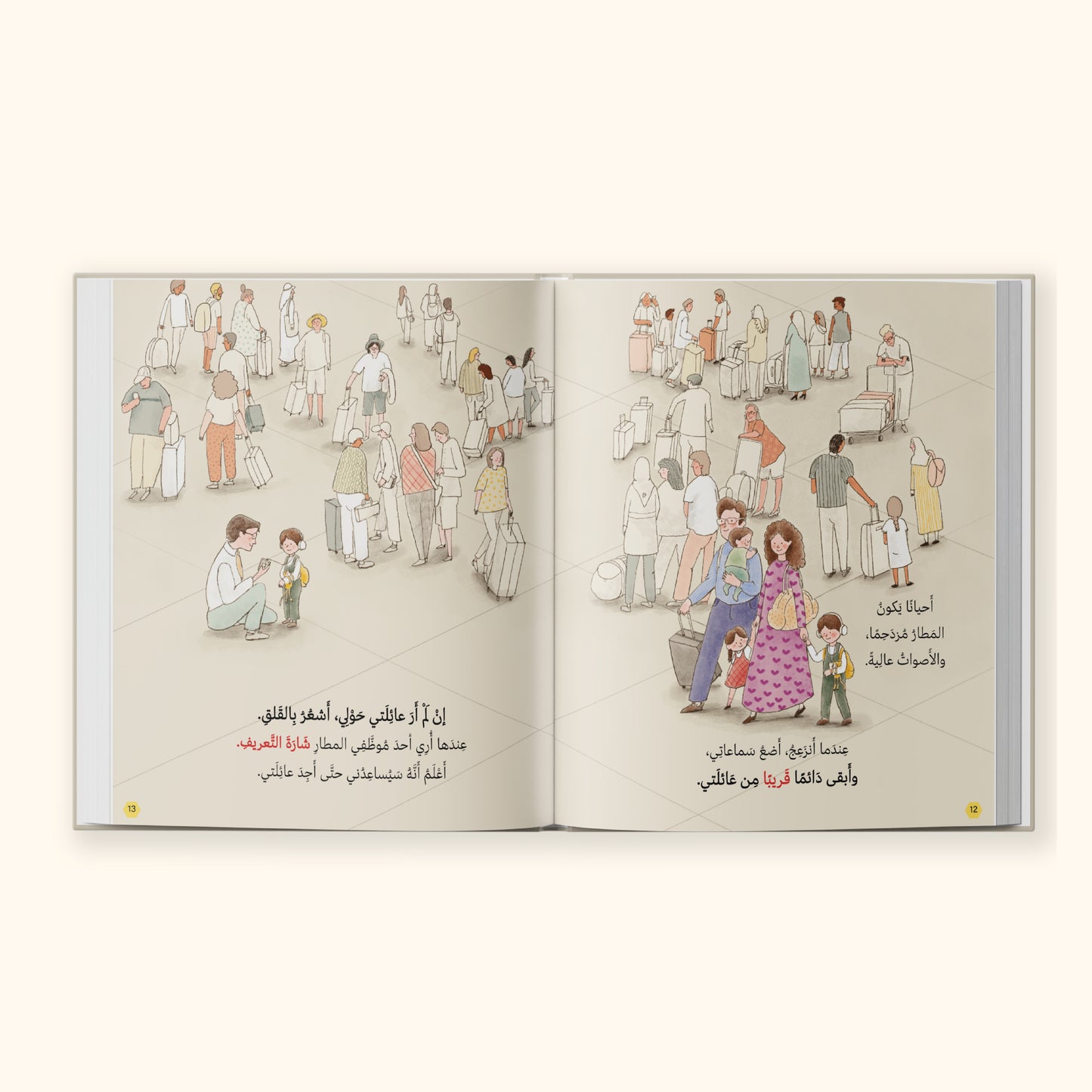 رحلة بالطائرة